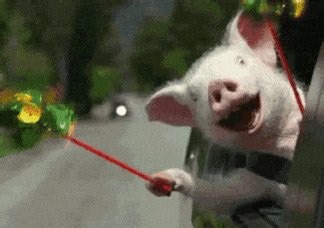 But..but..driiiiiiip 😂You said when price crosses above GEX flip, dealers sell the pops. They're dampening the move bro. How is that a melt up??Yep. The melt up isn't the dealers. It's the options buyers getting squeezed.Here's the mechanic most people get completely backwards When price recaptures the GEX Flip and starts grinding toward the Call Wall, three forces hit simultaneously:1. Delta hedging by call sellers. Every market maker who sold calls HAS to buy the underlying as price rises. Co