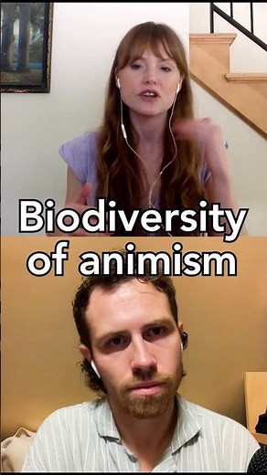 Different kinds of animism