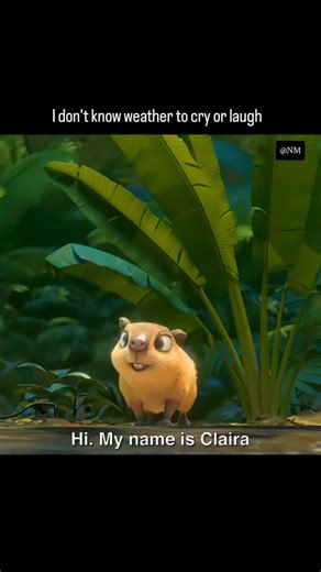 memes__movies on Instagram: "Rio 2 (2014) Overview After moving out of Rio de Janeiro, Blu, Jewel and their children try to cope with the new surroundings in the Amazon. But Blu encounters the revengeful Nigel who further complicates the situation."