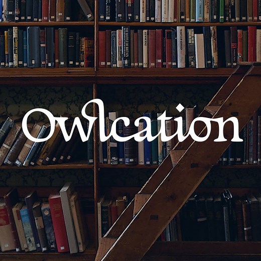 Powers in Brackets: How to Use the Bracket Power Rule