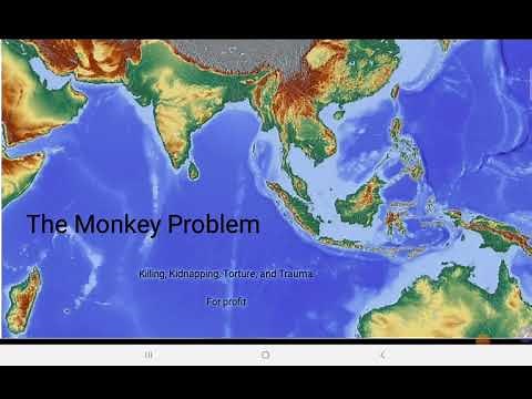 KEE: The Monkey Problem Part 1: Macaques