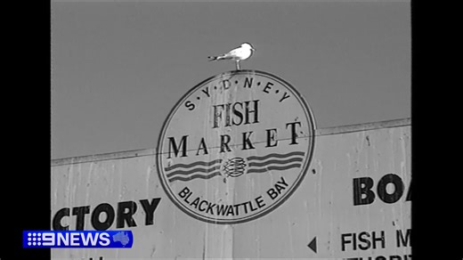 63K views · 508 reactions | The end of an era today, as the Sydney Fish Market traded its last sales, before opening at its new home in the morning. #9News | 9 News Sydney | Facebook