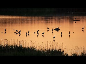 SUMMER IN HIIUMAA | Estonian nature scenery