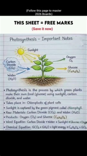 🛑 DON'T STUDY HARD, STUDY SMART! (2026 Board Exam Cheat Sheets) 📚