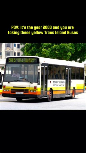 Nostalgic Memories of Singapore's TIBS Buses