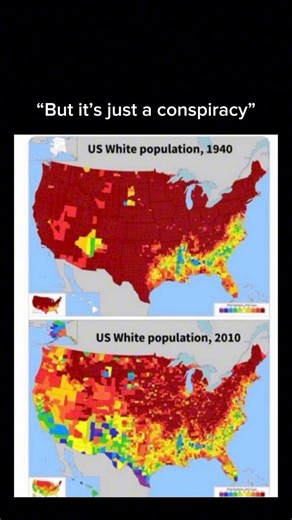 Rich Penkoski on Instagram: "White Americans made up nearly 90% of the U.S. population in 1940. Today, that number has dropped sharply and continues to fall. This didn’t happen by accident. Mass immigration policy, collapsing birth rates, and elite narratives openly celebrating “demographic replacement” have reshaped the country in one lifetime. You don’t have to like white people to admit reality, and you don’t have to believe conspiracies to read census data. Facts don’t care about feelings, a