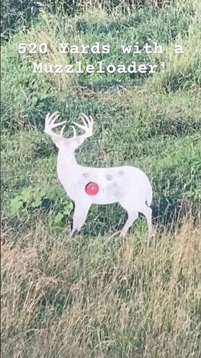 520 Yards - Smokeless Muzzleloader! #arrowheadrifles #longrangeshooting #gunshorts #muzzleloader