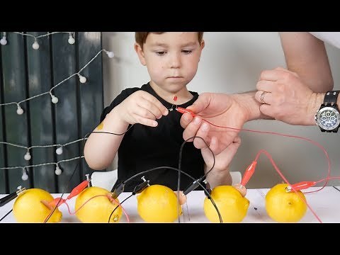 How to Make a Lemon Battery