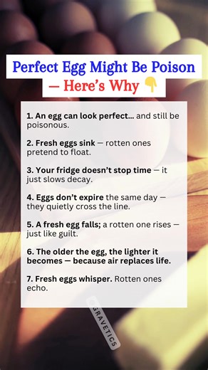 You crack it open every morning… But what if that “fresh egg” isn’t as safe as you think? 🥚💀 In this reel, discover how to tell if your eggs are still safe to eat — using science, not guesswork. From the simple water float test to the smell, sound, and sight checks, this video reveals the dark truth about how eggs quietly decay, even in your fridge. #FoodSafety #DarkFacts #HealthAwareness #FoodScience #EggFacts #EverydayAwareness #KitchenHygiene #DarkTruths #FoodAwareness #FoodPoisoning #HomeH