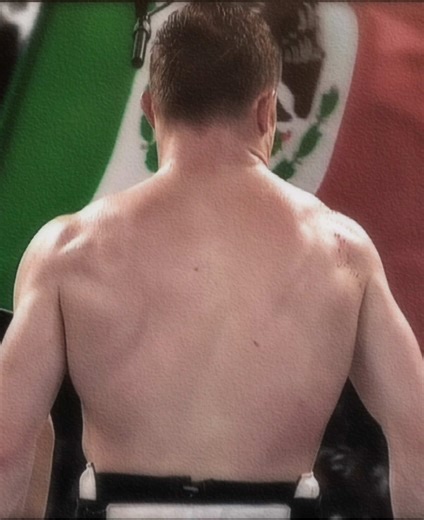 Canelo Alvarez: The Journey of a Boxing Champion