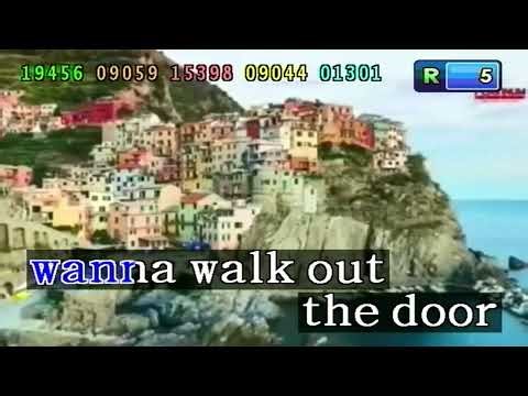 Torn - Ava Max (Karaoke/Lyrics/Instrumental) HD (Kapitan 2 Ver 1.5)