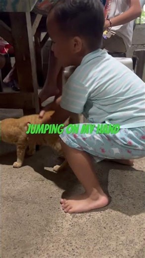 Jumping on my hand #viralvideo #funny #viralvideo #cuteanimal