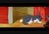 tom and jerry : Free Download, Borrow, and Streaming : Internet Archive