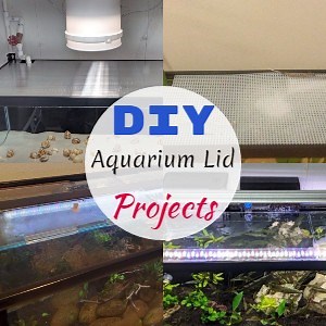 13 DIY Aquarium Lid Projects For Your Assistance - DIYnCrafty