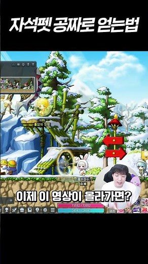 자석펫 공짜로 받아가세요!
