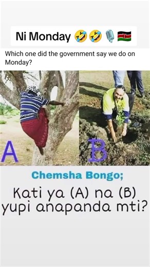 Climbing Trees and Planting: Engaging Outdoor Activities