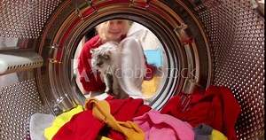 Funny cat sitting in the washing machine, view from inside the washing machine. The girl takes the cat from inside the washing machine