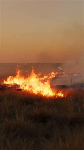🔥 Propane Torch Wild Grass Burn in Sunset#torch #weedtorch #wildfire