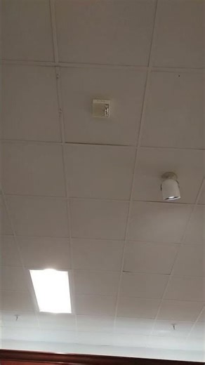 Wheelock AS Horn Strobe