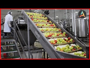 Amazing Fruit Packaging Process - Fruit Processing Process Machines And Processes