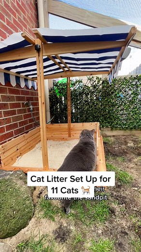 Cat Litter Set Up for Multiple Cats - Indoor and Outdoor Solutions