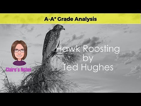 Achieve Excellence in Your IGCSE with This Analysis of Hawk Roosting by Ted Hughes