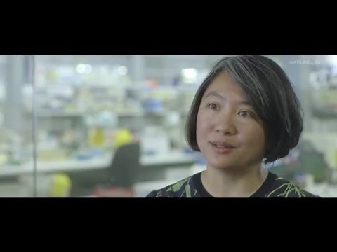 Dr Wai-Hong Tham, Molecular Parasitologist Lab Head