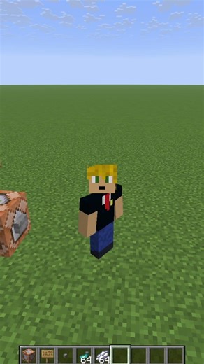 How To Use The /SEED Command!