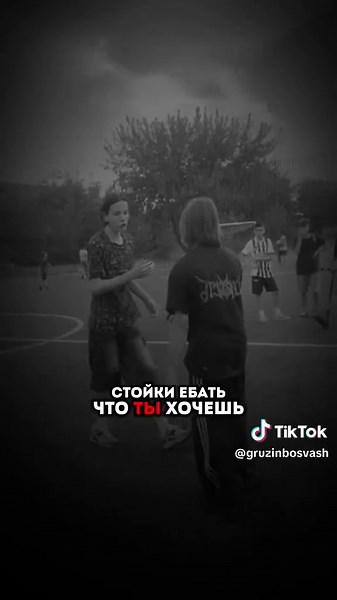 Audi SQ8 Performance Overview: Power and Technology