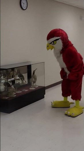 Freddy Falcon During Spring Break (part 2) | Friends University