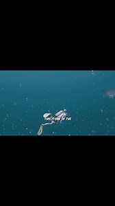 19K views · 284 reactions | Size Comparison_ 15 Whale Species That Actually Exist_ _ Pygmy Sperm Whale Vs Blue Whale #shorts #memes | CGI View | Facebook