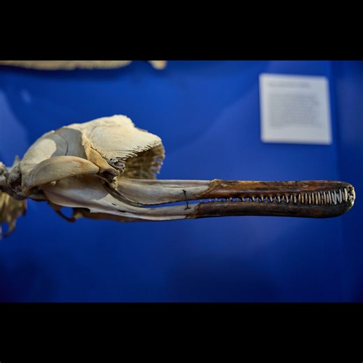 Pollution and Contamination