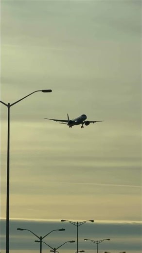 #plane #automobile #aviation #ihavethisthingwithplants #travel #planespotting #airport