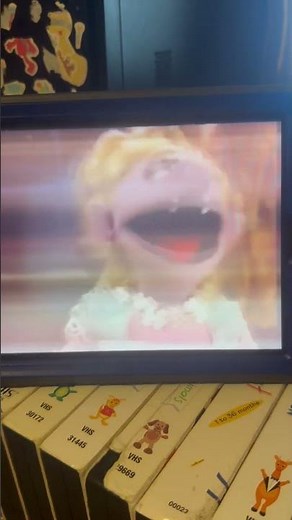 Elmo’s world birds 🦅 🦢 🐦