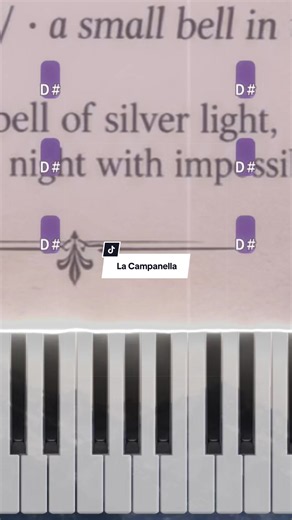 Song: La Campanella - Franz Liszt Please follow if you enjoyed :) #liszt #lacampanella #classicalmusic #piano #pianotutorial