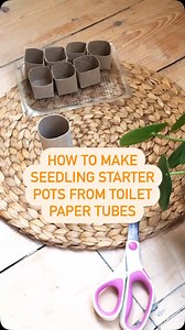 9.1K views · 5.7K reactions | Make seedling starter pots from toilet...