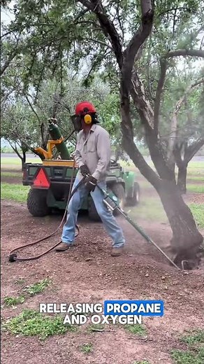 Innovative Pest Control Solution