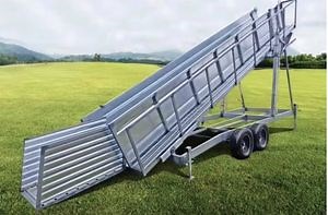 [Hot Item] Heavy-Duty Fixed Loading Ramp for Cattle and Livestock Transport