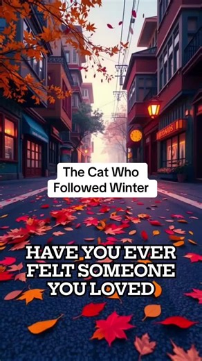 mystical cat stories ghost cat legend folklore storytelling They say cats return when the first snow falls. spiritual cat connection haunted folklore Appalachian ghost stories Southern gothic tales mysterious night stories spiritual storytelling cats and the afterlife #CatLore #MysticCats #FacelessStory #SpiritualStory #Reincarnation stories that linger after watching