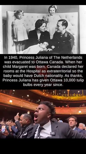 A Royal Gesture That Blossomed Into a Lifelong Tradition 🌷🤝🇳🇱🇨🇦 In 1940, during World War II, Princess Juliana of the Netherlands fled to Ottawa, Canada for safety. While living there, she gave birth to her daughter Princess Margriet. To ensure the baby had Dutch nationality, Canada did something extraordinary — they temporarily declared the hospital room extraterritorial, meaning it legally counted as Dutch soil. This small but powerful act of kindness created a lifelong bond between the 