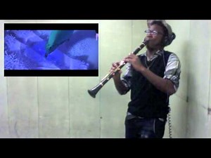 "Let it Go" - a clarinet cover