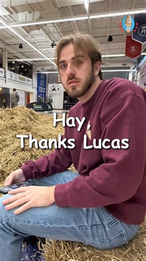 Cream Team on Instagram: "The ice cream machine collected a little dust this morning, does anybody know why?"