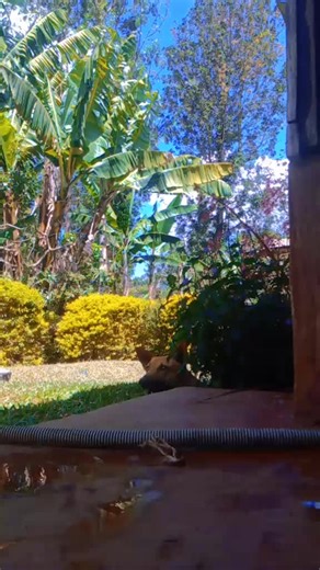 climo (@climo3)’s videos with original sound - MUSA😈