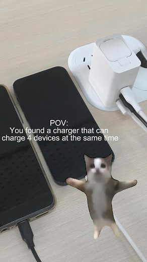 17 reactions · 3 comments | POV: you found a charger that can charge 4 devices at the same time朗#RORRY #RORRYcharger #meme #cat #fyp #charger #chargingblock | RORRY | Facebook