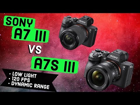 Sony a7III VS a7S III Video Review (A7s III Low light Comparison, 4K 120 fps, 60 fps + 1080 240 fps)