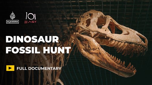 Dinosaurs for sale: Is the global fossil market harming science?