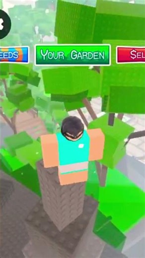#anime #petshub #robloxedit #newupdateinrobloxbedwars