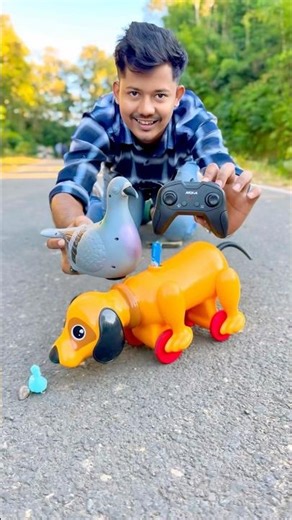 Amar Rc Bird & Rc Dog ki Unboxing😍