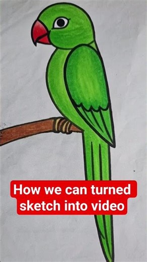 How to Draw a Parrot 🦜 | Simple Cartoon Drawing#shorts