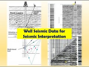 Well Seismic Data for Seismic Interpretation
